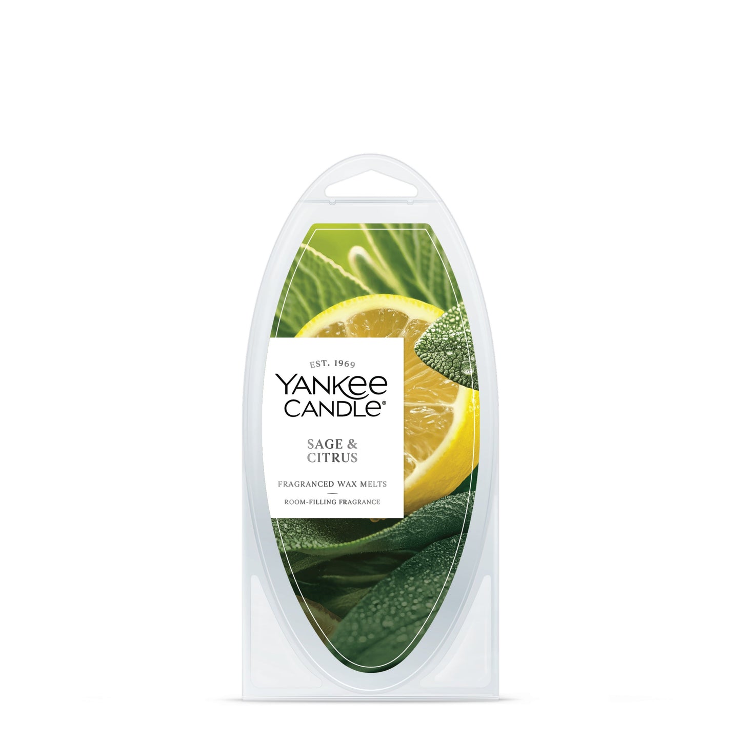 Sage & Citrus Wave 6-0665