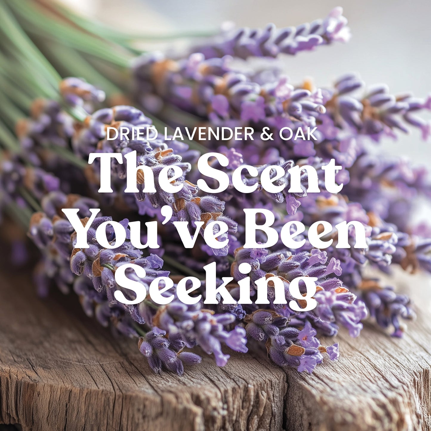 Dried Lavender & Oak​